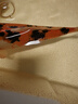 錦鯉活魚(yú)觀(guān)賞魚(yú)活體淡水冷水魚(yú)純種黃金紅白三色錦鯉魚(yú)金魚(yú)招財魚(yú) 20-25cm 三陽(yáng)開(kāi)泰(紅白+三色+黃 曬單實(shí)拍圖