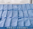 魚(yú)躍（Yuwell）防褥瘡墊老人癱瘓臥床氣墊免翻身護理加寬管徑久臥不塌[條紋22管] 曬單實(shí)拍圖