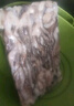 美加佳 冷凍魷魚(yú)須1斤*2袋 火鍋燒烤食材 鐵板魷魚(yú) 燒烤食材 海鮮水產(chǎn) 曬單實(shí)拍圖