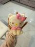 時(shí)鳥(niǎo)hello kitty掛件玩偶毛絨書(shū)包包掛件鑰匙扣鑰匙鏈女可愛(ài)高顏值 【KT掛件】 10cm 曬單實(shí)拍圖