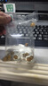 黃金螺淡水觀(guān)賞螺活體清潔螺除藻清苔工具螺蘋(píng)果螺不加溫吃魚(yú)龜便 中號黃金螺3只 1.5-2cm 曬單實(shí)拍圖