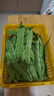 京鮮生山東新鮮油豆角5斤裝新鮮蔬菜源頭直發(fā)包郵 曬單實(shí)拍圖
