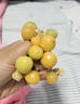 南步東北姑娘果【順豐速發(fā)】菇?jīng)龉S菇娘黃燈籠果姑鳥小金豆孕婦新鮮 5斤 精選果【單果7-9g】 曬單實拍圖