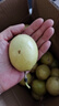 海南百香果廣西百香果 變黃變皺皮更甜 泡水喝 生吃 調(diào)味新鮮水果 30個 曬單實拍圖