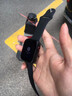 小米手機適配兒童電話(huà)手表智能初高中生專(zhuān)用可插卡6-12-18歲青少年 至尊版128G粉色【微信QQ抖音】5G 曬單實(shí)拍圖