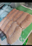 安井 火山石烤腸原味+黑椒味 1kg20根 肉腸熱狗香腸 油炸燒烤火鍋 曬單實(shí)拍圖
