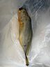 鴻順【冰鮮】黃花魚(yú)4條4斤 生鮮魚(yú)類(lèi) 寧德大黃魚(yú) 地標產(chǎn)品 源頭直發(fā) 曬單實(shí)拍圖