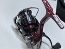 達億瓦（DAIWA）25款FUEGO CS飛鴿遠投紡車(chē)輪路亞輪淡海水泛用輪輕量微物漁輪 LT2500S-XH（淺線(xiàn)杯+高高速比） 左右手互換型 曬單實(shí)拍圖