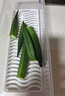 家の物語(yǔ)（KATEI STORY）日本抗菌小蔥保鮮盒瀝水食品級長(cháng)條香菜大蔥姜蒜冰箱收納盒蔥段盒 曬單實(shí)拍圖