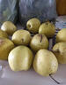 式果禮河北趙縣雪花梨【趙州特產(chǎn)】秋月梨皇冠梨冰糖雪梨香鴨梨新鮮水果 8.5斤 精選大果【單果350g+】 曬單實(shí)拍圖