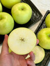 沁煦嚴選  瑞雪蘋(píng)果陜西白水瑞陽(yáng)翡翠純甜糖心青蘋(píng)果新鮮水果禮盒裝 5斤 75mm-80mm 嚴選中大果丨玫瑰雅香 曬單實(shí)拍圖