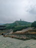 潔麗雅（Grace）一次性馬桶墊10片裝*5包免揭膠款坐便墊旅行旅游坐墊紙 曬單實(shí)拍圖