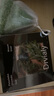 DRVIALY胖東烏斯曼草洗發(fā)皂來側(cè)柏葉草本何首手工皂角洗發(fā)水純天然無添加 【根源100%防脫】側(cè)柏葉烏斯曼1盒【贈起泡網(wǎng)】 曬單實拍圖