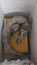 龍源鮮新鮮現殺帶皮鱷魚(yú)人工養殖食用鱷魚(yú)尾鱷魚(yú)腿生鮮鱷魚(yú)肉春節送禮 整只帶皮去內臟20斤左右 曬單實(shí)拍圖