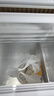 榮事達（Royalstar）冰柜商用大容量全冷凍臥式冰柜家用冷藏冷凍兩用冷柜雙溫商用大冰柜冷凍柜展示柜 【高性?xún)r(jià)比】338升單溫白色微霜【一級能效】 曬單實(shí)拍圖