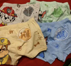 汪汪隊立大功（PAW PATROL）兒童內褲男寶寶短褲小孩棉質(zhì)四角平角褲4條裝PA089 110 曬單實(shí)拍圖