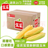 京鮮生&佳農寶菜山東水果玉米單根275g+鮮甜多汁4-7根凈重4.6斤源頭直發(fā) 曬單實(shí)拍圖