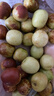 冰糖冬棗新鮮水果生鮮脆甜小糖丸沾化冬棗果園直發(fā)【多產(chǎn)地發(fā)貨】 整箱0.8-1斤 單果12g+中果 曬單實(shí)拍圖