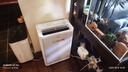 美的（Midea）除濕機變頻除濕凈化空氣一體機30升/天家用抽濕機安睡輕音臥室內地下室工業(yè)除潮霉CF30BD/BP3N7-DI 曬單實(shí)拍圖