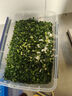 廚大嘴多功能切菜機食堂商用全自動(dòng)切蔥花韭菜機切片機酸菜絲辣椒切段機整機可水沖 小型升級款可水沖丨300斤/h丨切片/絲/段/圈 曬單實(shí)拍圖