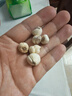 半山農 真四川川貝母（非平貝母）20g/罐 野生無(wú)熏硫送長(cháng)輩滋補中秋禮品 曬單實(shí)拍圖