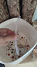 貝親（Pigeon）奶瓶成長(cháng)系列翻蓋吸管杯頭（18M+） BA165 曬單實(shí)拍圖