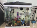 長(cháng)銳恒溫魚(yú)缸智能水族箱自循環(huán)生態(tài)全自動(dòng) CRV380智能款【長(cháng)38x寬23x高38】 曬單實(shí)拍圖