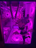 華碩天選5060Ti/5060顯卡i5 14600KF/230F組裝電腦臺式整機DIY初音未來(lái)mod機箱游戲主機白色顏值海景房 i5 14600KF+華碩天選5060 配置八 曬單實(shí)拍圖