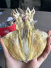小海故事 淡干大號墨魚(yú)干凈含量250g約5-8只/袋 源頭直發(fā)烏賊干貨煲湯食材 曬單實(shí)拍圖