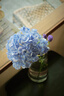 松下S9（18-40mm F4.5-6.3）套機(jī) （Panasonic）全畫幅微單 實(shí)時(shí)Lut 濾鏡直出 連接app極速分享-橄欖綠 曬單實(shí)拍圖