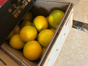 褚橙 云南冰糖橙  珍品果 XXL 10斤裝 單果約200g起 生鮮水果禮盒 曬單實(shí)拍圖