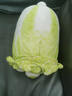 威爾通（WELTSTON）蔬菜精靈毛絨玩具公仔玩偶娃娃抱枕教師節禮物生日禮物 菜狗30cm 曬單實(shí)拍圖