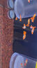 YEE黃粉魚(yú)藥白點(diǎn)凈水霉疾病養魚(yú)日本錦鯉水族殺菌治療爛尾疾病20g 曬單實(shí)拍圖