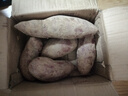 魯禧廣西新鮮紫薯 當季精品紫薯地瓜 軟糯香甜健康輕食生鮮蔬菜 中果凈重4.5斤（單果150-400g） 曬單實(shí)拍圖