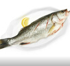 海名威 冷凍三去海鱸魚(yú)880g/2條 (配料包) 海魚(yú) 生鮮魚(yú)類(lèi) 海鮮水產(chǎn) 中秋 曬單實(shí)拍圖