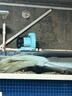 森森旋渦式增氧機大功率賣(mài)魚(yú)打氧氣機海鮮魚(yú)池增氧泵魚(yú)缸氧氣泵養魚(yú)HG 120W HG-120/220V【無(wú)配件】 曬單實(shí)拍圖