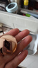 CHARLOTTE TILBURY CT柔焦美顏蜜粉亮采白0.8g 小金盤(pán)蜜粉 體驗裝 生日禮物送女友 曬單實(shí)拍圖