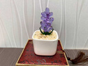 頂妃（DING FEI）琉璃小擺件桌面擺件多肉仙人掌豆芽盆栽辦公室玻璃工藝品生日禮物 風(fēng)信子-紫色 BG 曬單實(shí)拍圖