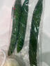 長(cháng)黃瓜約600g 曬單實(shí)拍圖