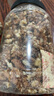 農(nóng)香森 新貨原味核桃仁散裝500g罐裝熟即食新鮮核桃肉孕婦堅(jiān)果零食 曬單實(shí)拍圖