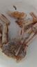 1號會(huì )員店冷凍舟山實(shí)心帶魚(yú)段(400g*3袋) 1.2kg 無(wú)內臟 地理標志 魚(yú)類(lèi)生鮮 曬單實(shí)拍圖