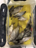 GW光威魚(yú)竿劍手鯉二代強韌28調6.3米綜合大物竿超輕超硬臺釣高碳竿 曬單實(shí)拍圖