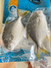 恒興食品 原條金鯧魚(yú)700g 2條裝 BAP認證海鮮生鮮深海魚(yú)火鍋食材 曬單實(shí)拍圖