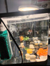 京業(yè)魚(yú)缸多功能過(guò)濾器JY-003F款6W 增氧循環(huán)水泵魚(yú)缸過(guò)濾吸便帶雨淋器 曬單實(shí)拍圖