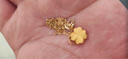 中國黃金（CHINA GOLD）黃金四葉草項鏈女款足金幸運草吊墜鎖骨中秋節生日禮物送女友老婆 【今/次日達】四葉草吊墜+S925鏈 約0.75g 曬單實(shí)拍圖