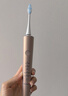 松下（Panasonic）小齦塔成人電動(dòng)牙刷牙醫推薦雙馬達橫縱振顫去漬護齦節日禮物生日禮物送男女友DC75女士推薦 曬單實(shí)拍圖