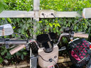 邦德富士達電動(dòng)自行車(chē)【以舊換新】酷邁48V12Ah續航45KM碟剎NFC TCS防滑大踏板大承重電瓶車(chē)摩卡奶霜 曬單實(shí)拍圖