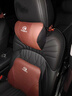 適用廣汽傳祺GS4/GS8/M8/M6影豹GS3影酷汽車(chē)車(chē)載頭枕腰靠墊護頸枕 刺繡標-頭枕 【火山紅】 1個(gè) 曬單實(shí)拍圖