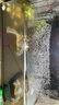 當貝智能生態(tài)魚(yú)缸1Ultra 一體缸自循環(huán)雙過(guò)濾AI托養懶人家用桌面魚(yú)缸 曬單實(shí)拍圖