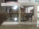 幸福拾盼水果生日蛋糕草莓送女友父母孩子老婆新鮮定制祝壽全國同城當天送 水果爆量款（店鋪力推） 10英寸(約5-8人食用) 曬單實(shí)拍圖